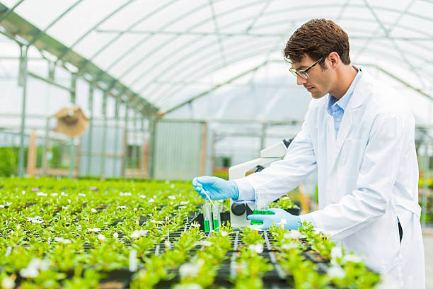 About Agriculture Archives