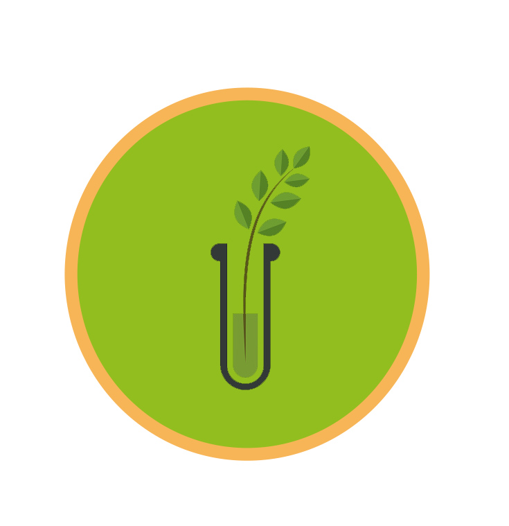 Crop Breeding and Genetics